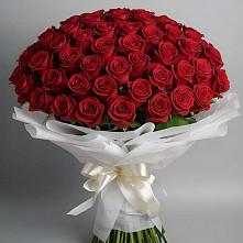 Букет 101 Красная роза Блэк Мэджик #REPLACE_PRED# Новокорсунской
