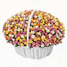 Премиум букет из: Розы #REPLACE_PRED# Новокорсунской