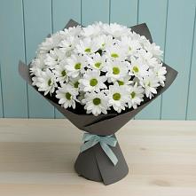Букет цветов из:  Хризантемы в Новокорсунской