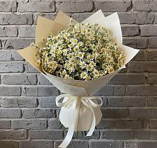 Букет цветов из:  Ромашки в Новокорсунской