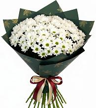 Букет цветов из:  Хризантемы в Новокорсунской